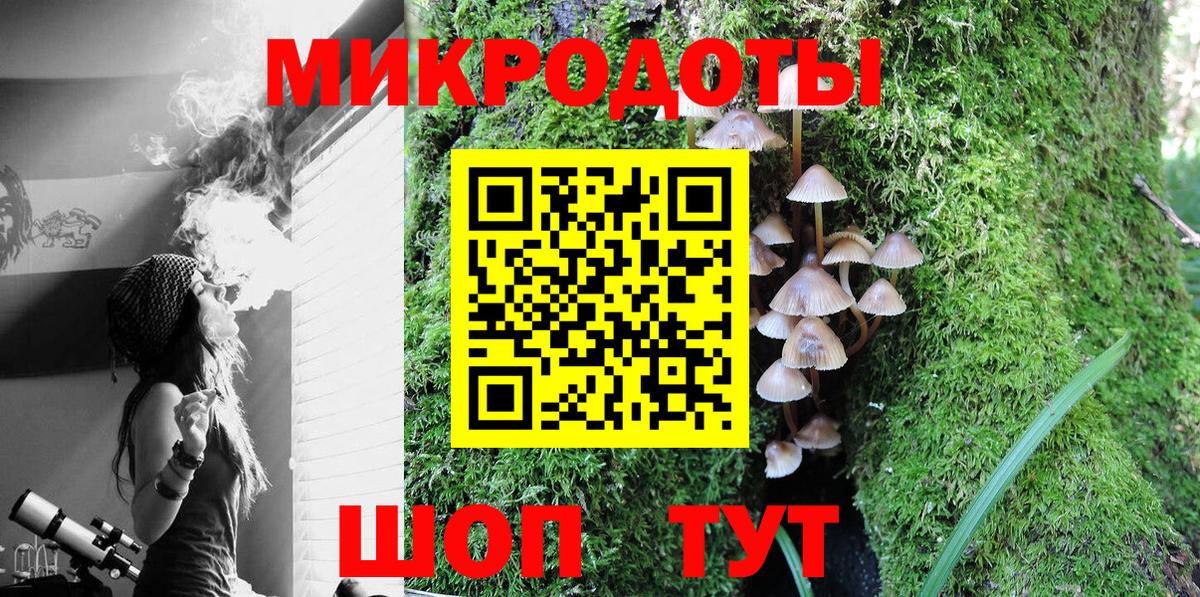 Псилоцибиновые грибы Psilocybe Михайловск