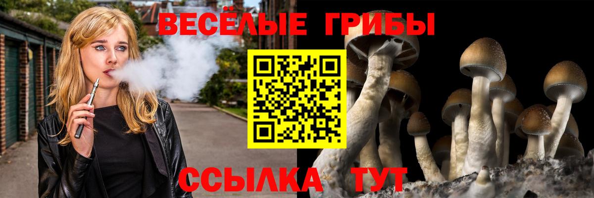 Псилоцибиновые грибы мицелий  Вход с VPN  Михайловск 